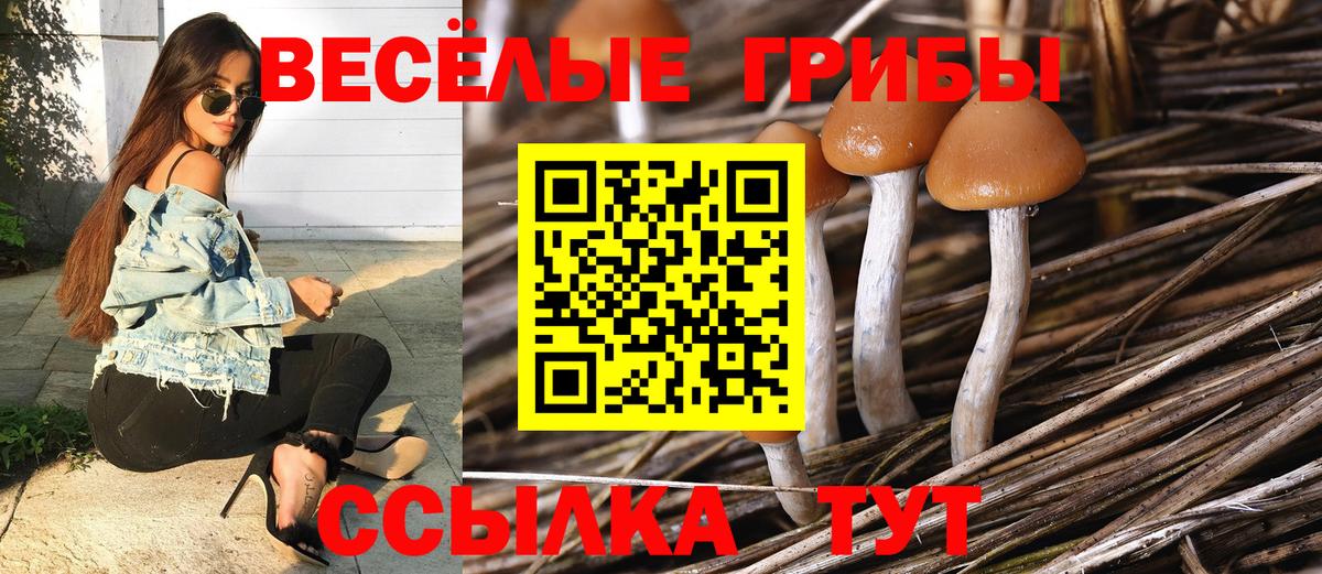 Магнитогорск  Псилоцибиновые грибы Psilocybe  Вход с VPN 
